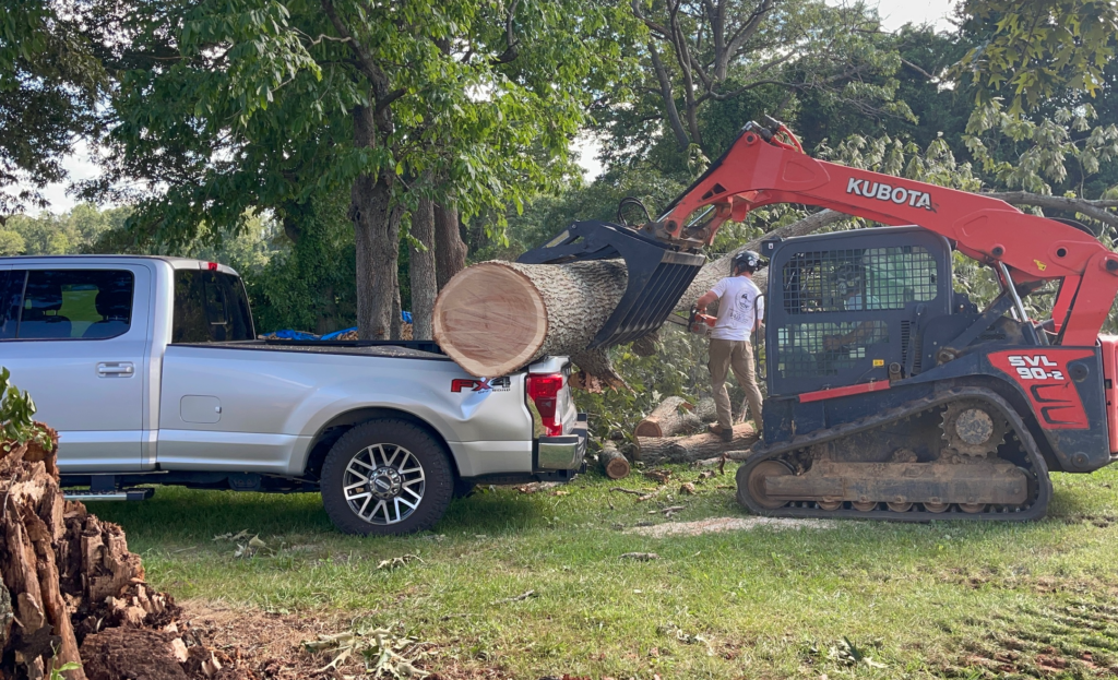 storm damage tree cleanup